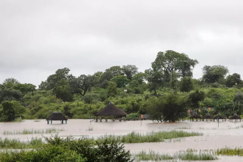 Kruger National Park Faces Five-Year Recovery After Devastating Floods