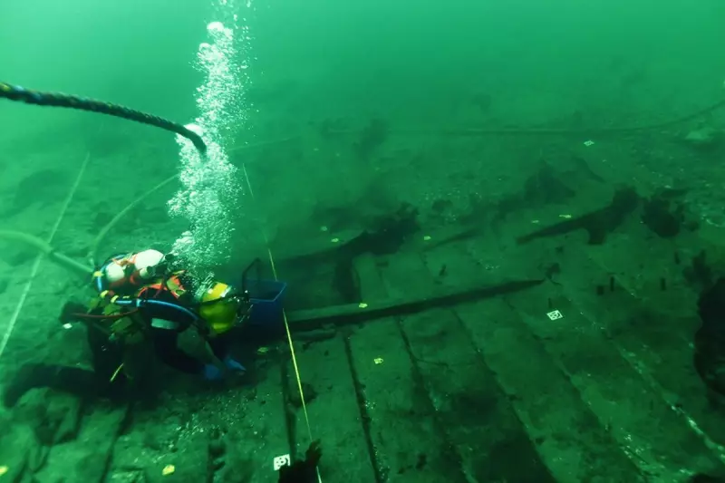Largest-Ever Viking 'Super Ship' Discovered, Rewriting Medieval Trade History