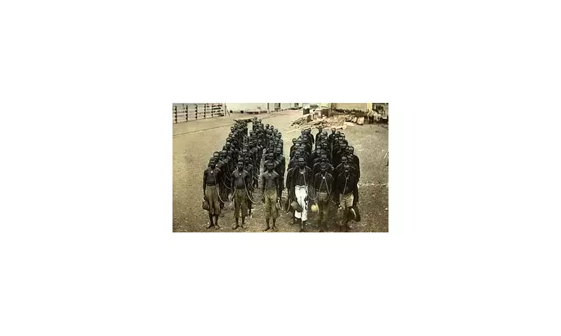 Lawn Hill Station's Grisly Secret: 40 Pairs of Aboriginal Ears Nailed to Walls