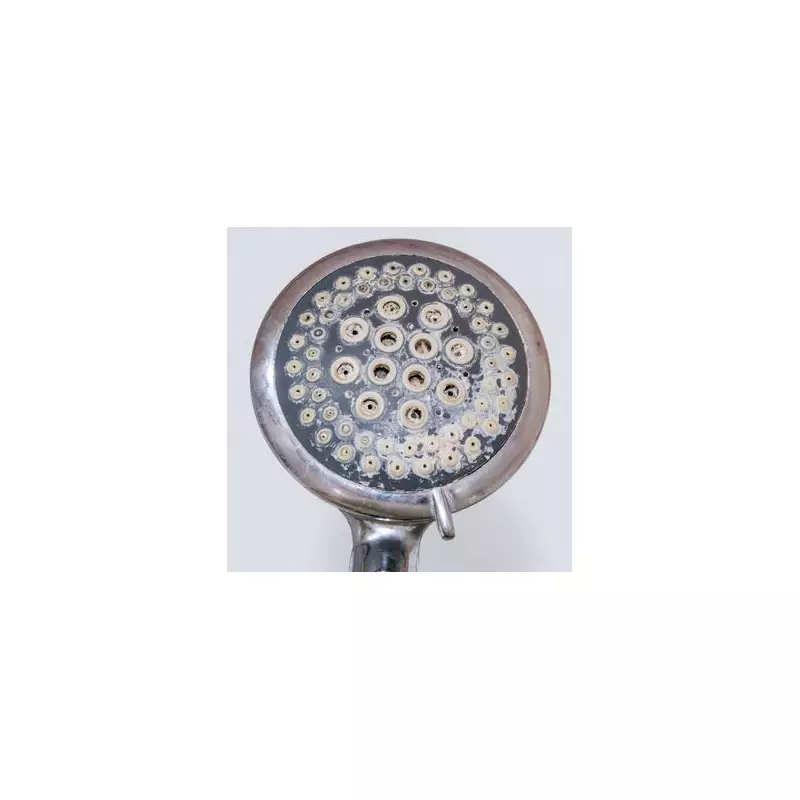 Lemon Juice Beats Vinegar: The Natural Way to Remove Shower Limescale