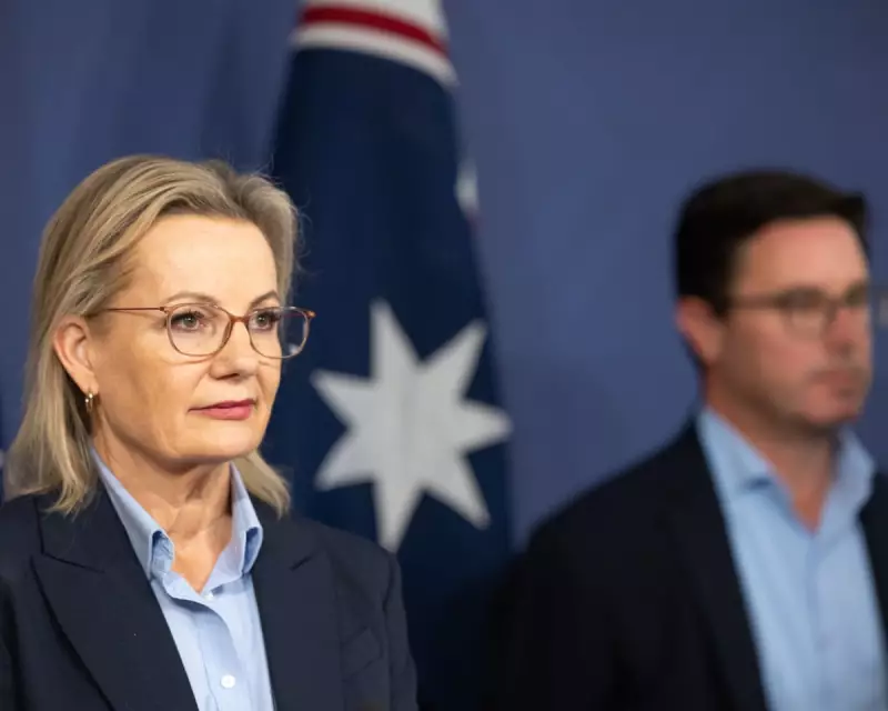 Liberal Party's Path to Recovery: Reclaiming Economic Leadership from Nationals-Lite Stance