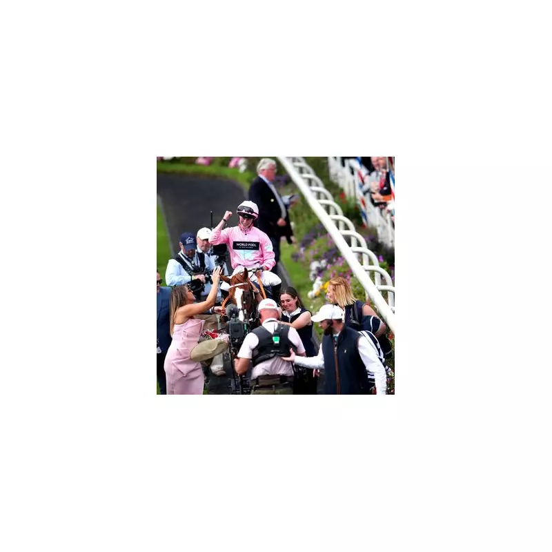 Live In The Dream, 28-1 York Nunthorpe Winner, Dies Aged Seven