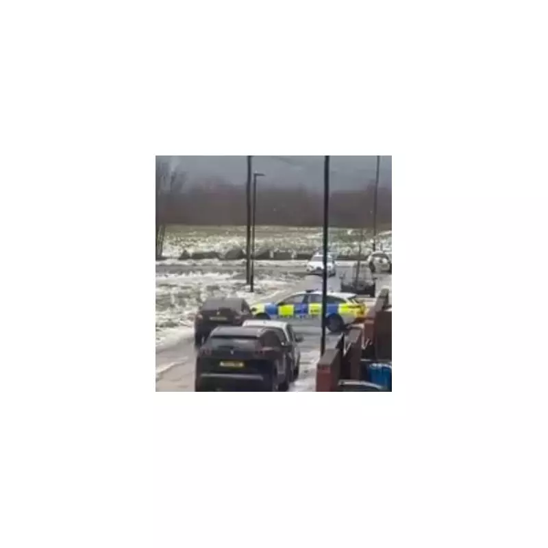 Major Emergency Incident Near Sheffield Pond: Five Police Cars and Ambulance Deployed