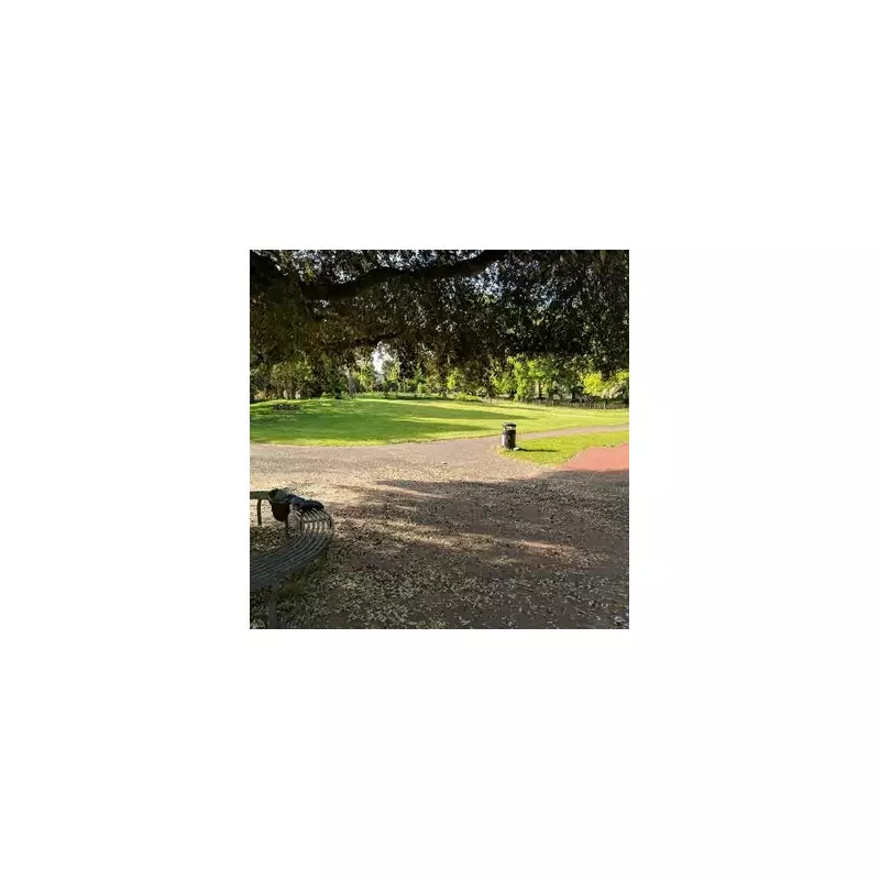 Man Found Dead in Bristol's Cotham Gardens Park, Police Seal Scene