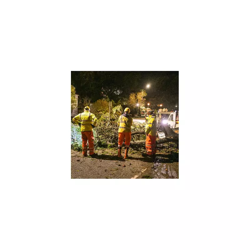 Man killed as Storm Goretti's 99mph winds crush caravan with tree in Cornwall