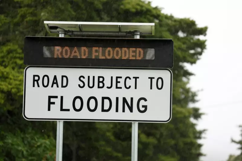 Man Swept Away in Car as Torrential Rain Hammers New Zealand