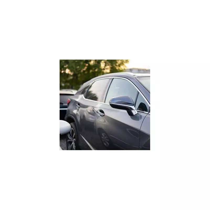 Man's 'petty revenge' on stranger who parked in his driveway during parade