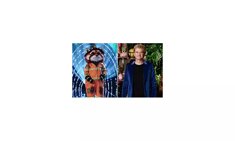 Masked Singer Fans Convinced Red Panda is Simon Farnaby After Debut