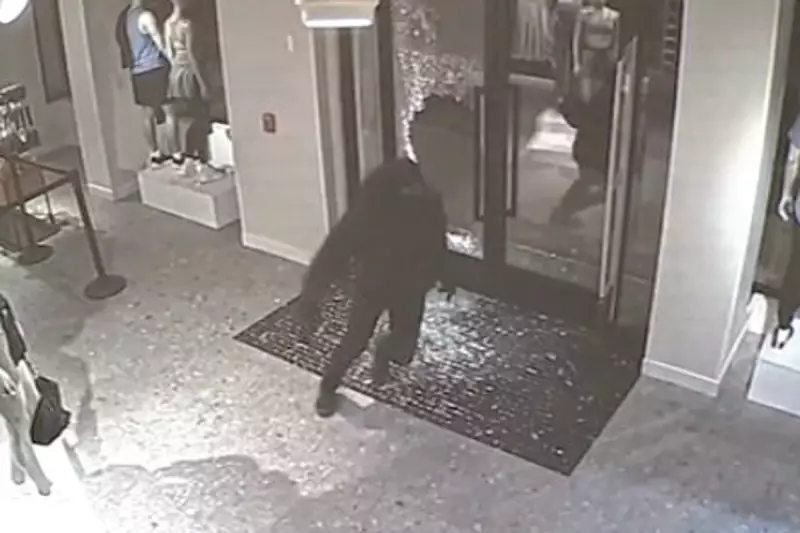Masked Thieves Loot Pennsylvania Lululemon in Brazen Smash-and-Grab