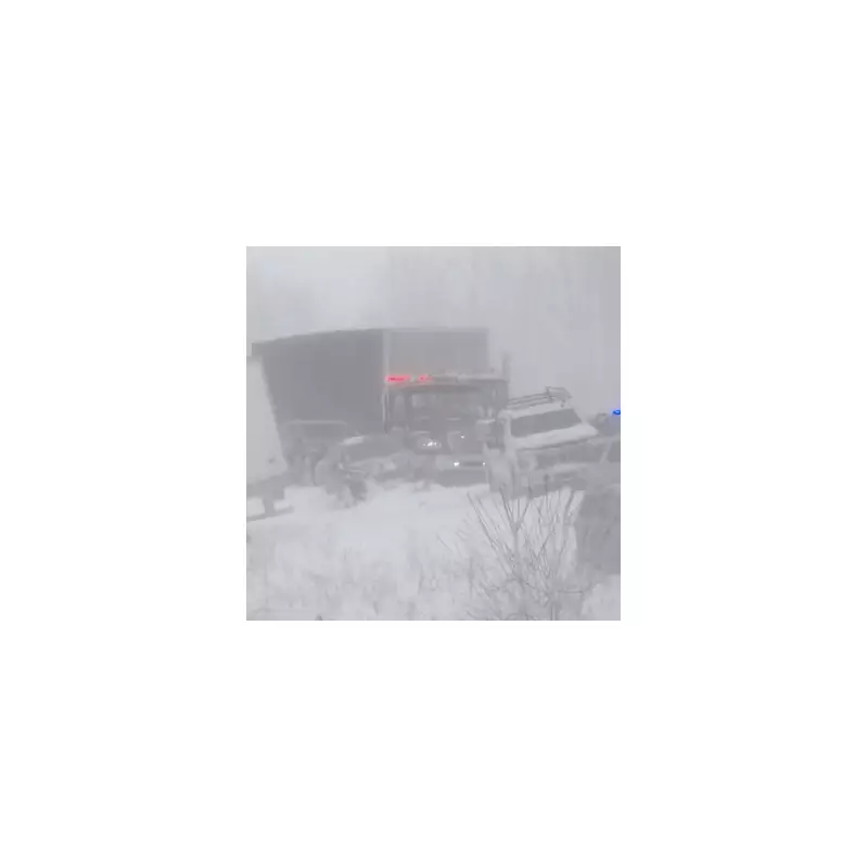 Massive 100-Vehicle Pile-Up in Michigan Snowstorm Leaves Drivers Stranded