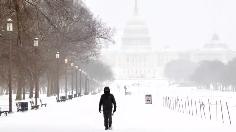 Massive Winter Storm Sweeps US: Snow and Chaos from New Mexico to North Carolina