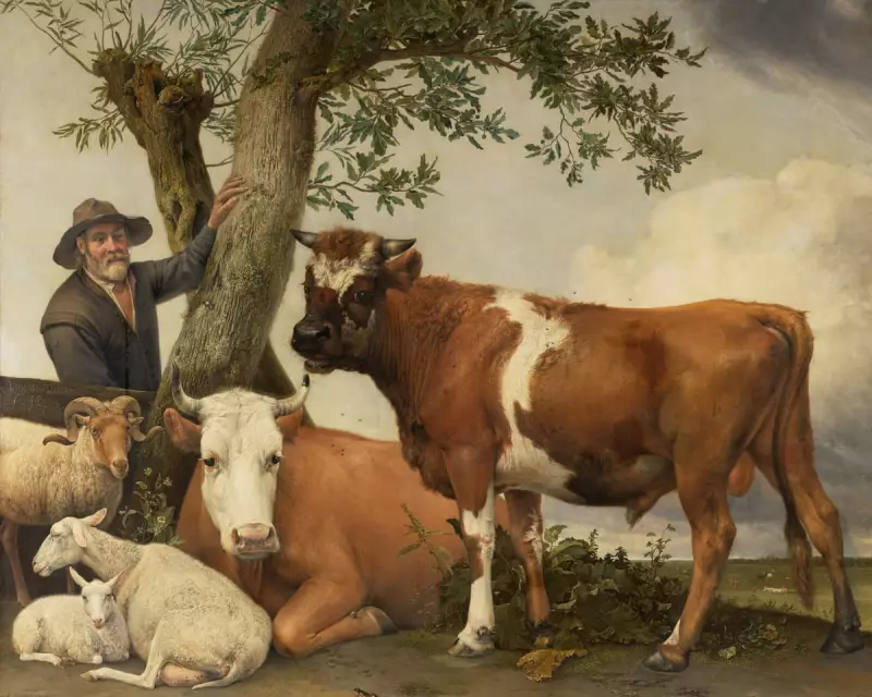 Mauritshuis Reveals Bull's Hidden Anatomy: Artist Reduced Testicles for Decorum