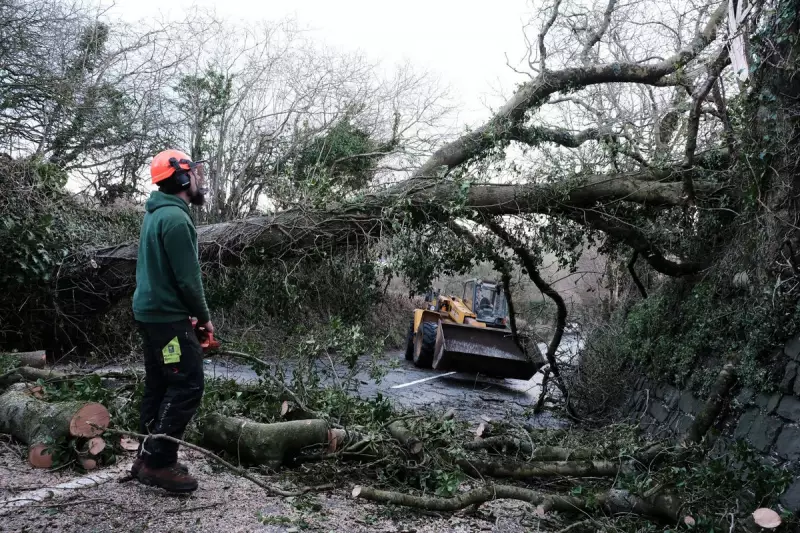 Met Office issues yellow rain warning: 50mm downpours threaten UK flooding