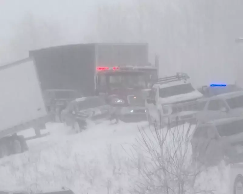 Michigan Snowstorm Triggers 100+ Vehicle Pileup on Interstate 196
