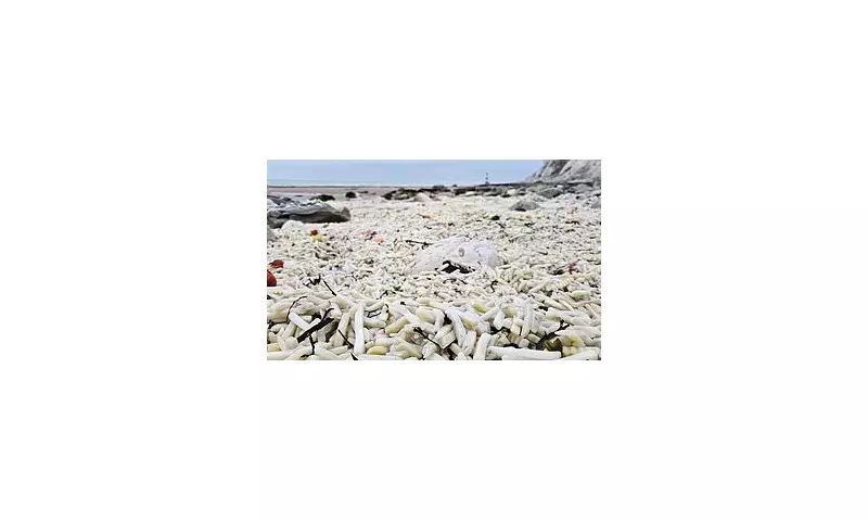 Millions of Chips Wash Ashore on East Sussex Beach After Storm Containers Lost