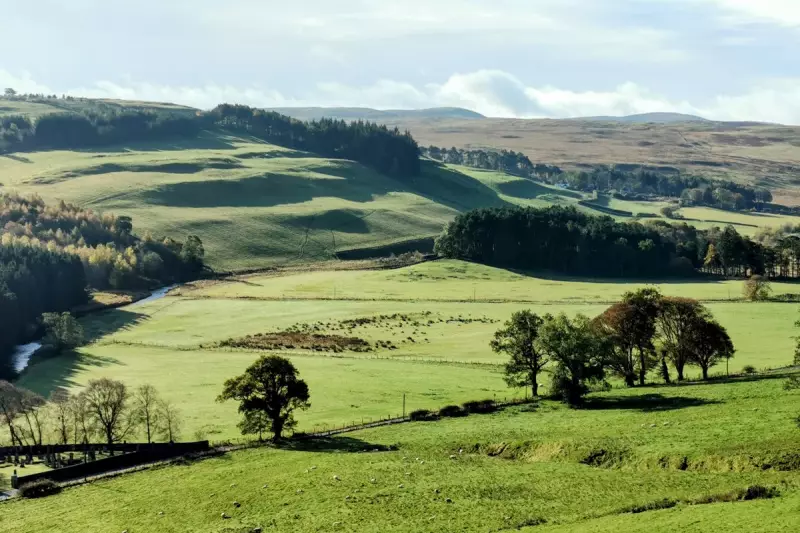 MoD Blocks Wind Farm Over Nuclear Monitoring Threat in Scottish Borders
