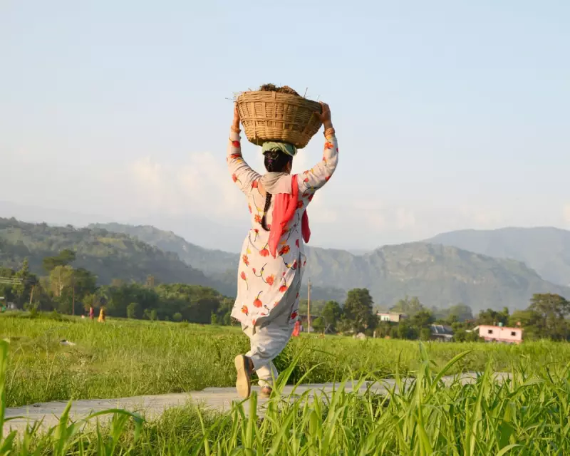 Modi's Rural Jobs Overhaul Risks Repeating Farm Protest Crisis