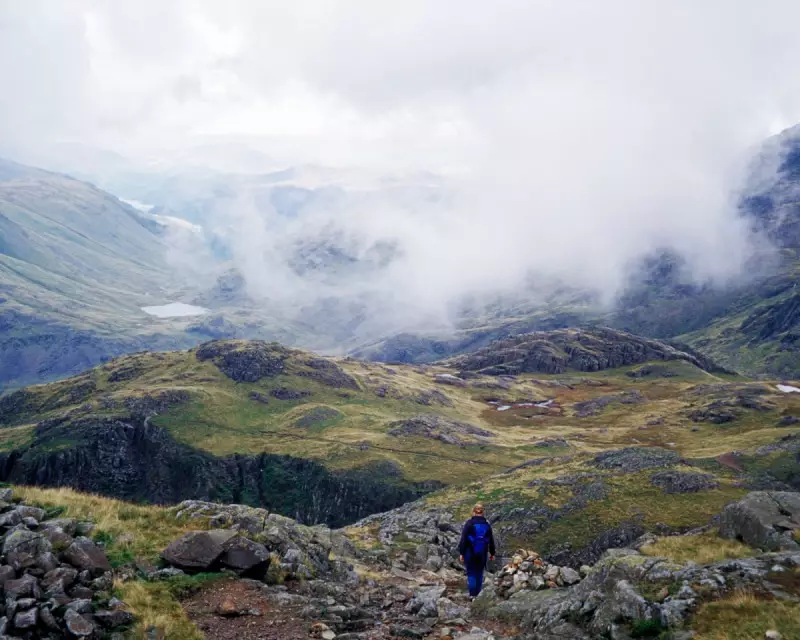 Mountain Rescue Team Appeals for Return of Gear and Hotel Bill Payment