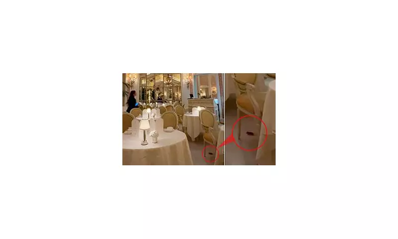 Mouse Spotted at The Ritz London's Afternoon Tea, Hotel Launches Investigation