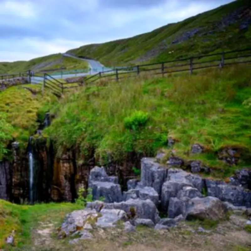 Muker's Protected Meadows: A Yorkshire Dales Wildflower Spectacle