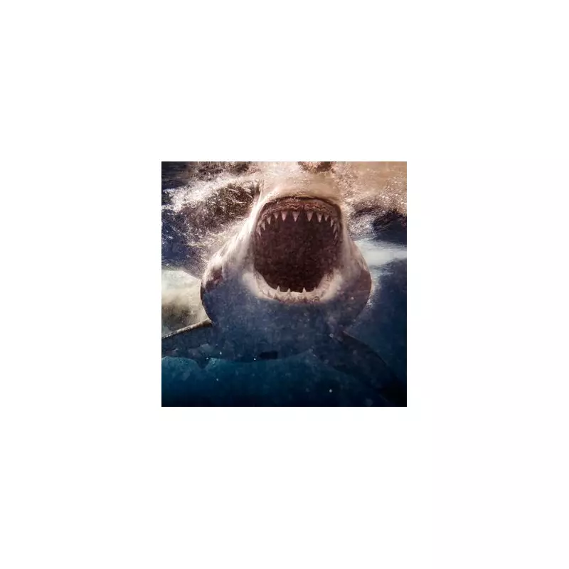 Mum Bitten in Half by 20ft Great White Shark as Children Watched in 1985