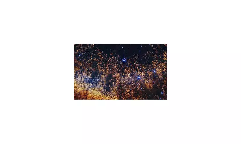 NASA's James Webb Telescope Reveals Our Sun's Fiery Fate in Five Billion Years