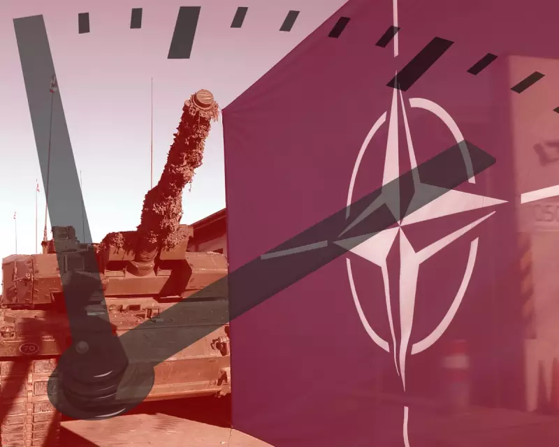 Nato Explained: From Cold War Origins to Modern Security Challenges
