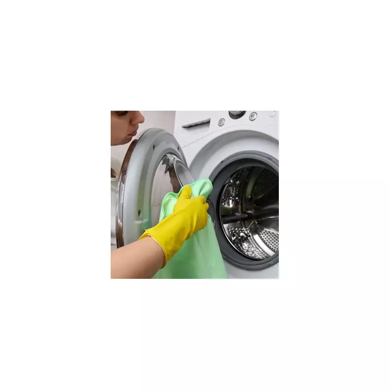 Natural Washing Machine Cleaner Test: One Method Outperforms Vinegar