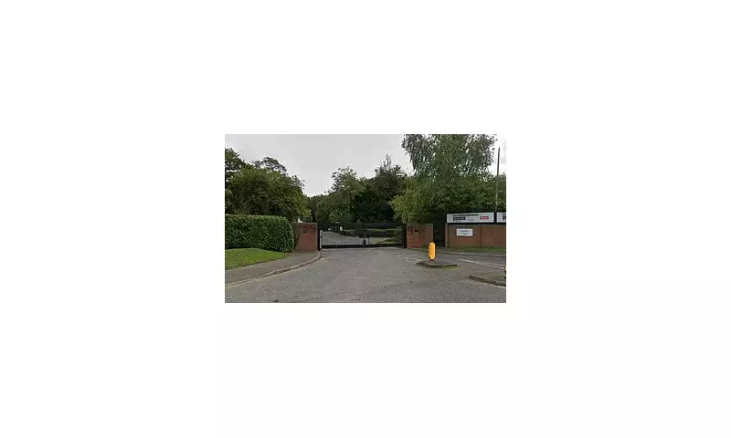 Neurodivergent Freelancer Wins £12k After 'Get Back in Your Box' Remark