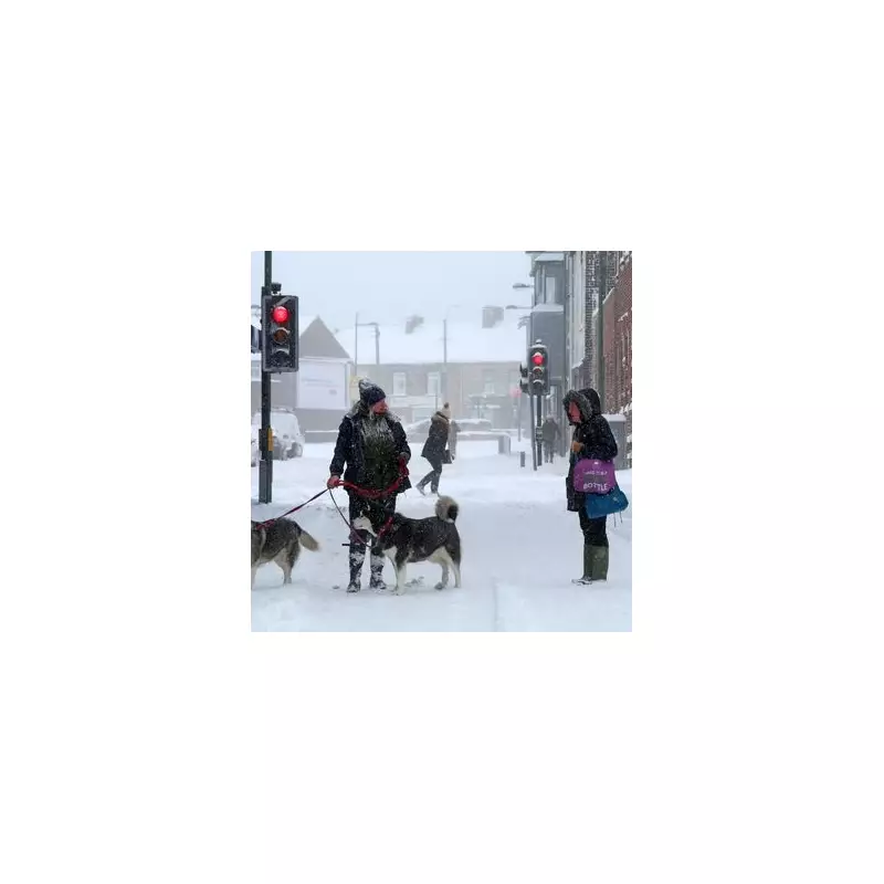 New 'Beast from the East' Could Hit UK with 10 Days of Snow from January 21