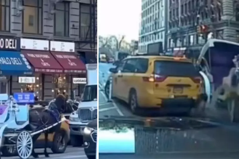 New York Carriage Horse Bolts, Crashes into Taxi in Midtown Manhattan Chaos