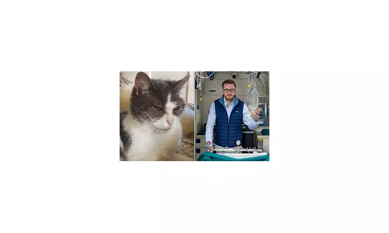 Newcastle Man Spends £16,000 to Cryogenically Freeze His 23-Year-Old Cat