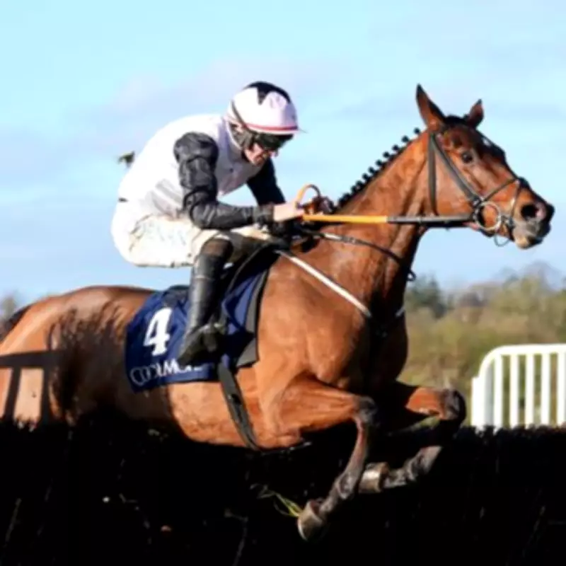 Newsboy's Saturday Racing Tips: Hartington and Kala Conti Lead ITV Selections