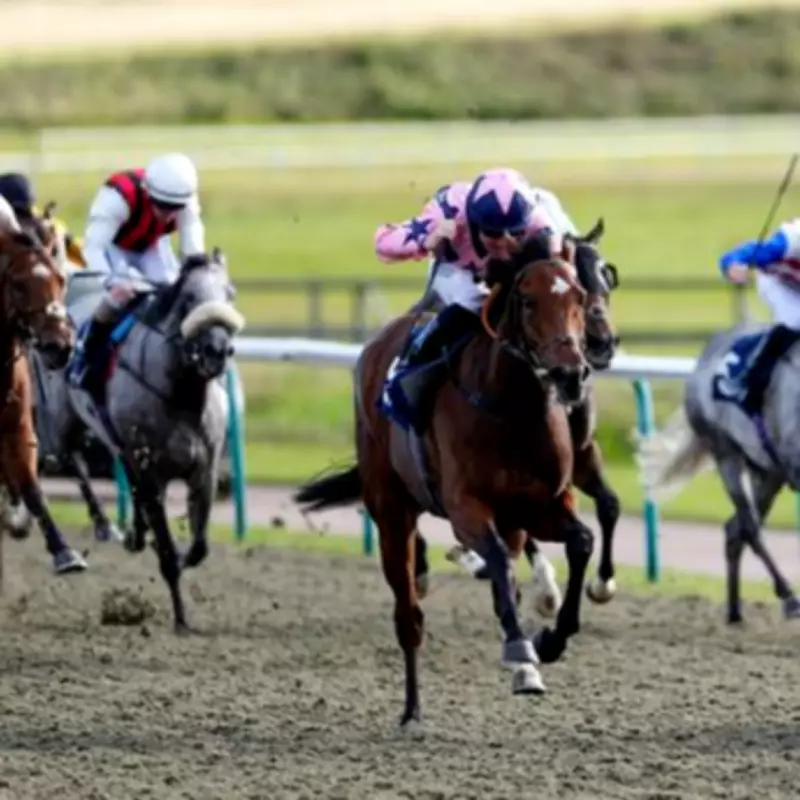 Newsboy's Thursday Racing Tips: Poke The Bear and Mutley Crew Lead Selections