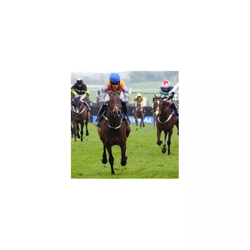 Newsboy's Tuesday Racing Tips: Kelvin Forlonge Napped to Win at Ayr