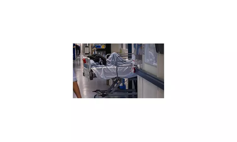 NHS Hospitals Install Call Bells in Corridors Amid Bed Crisis, Report Reveals