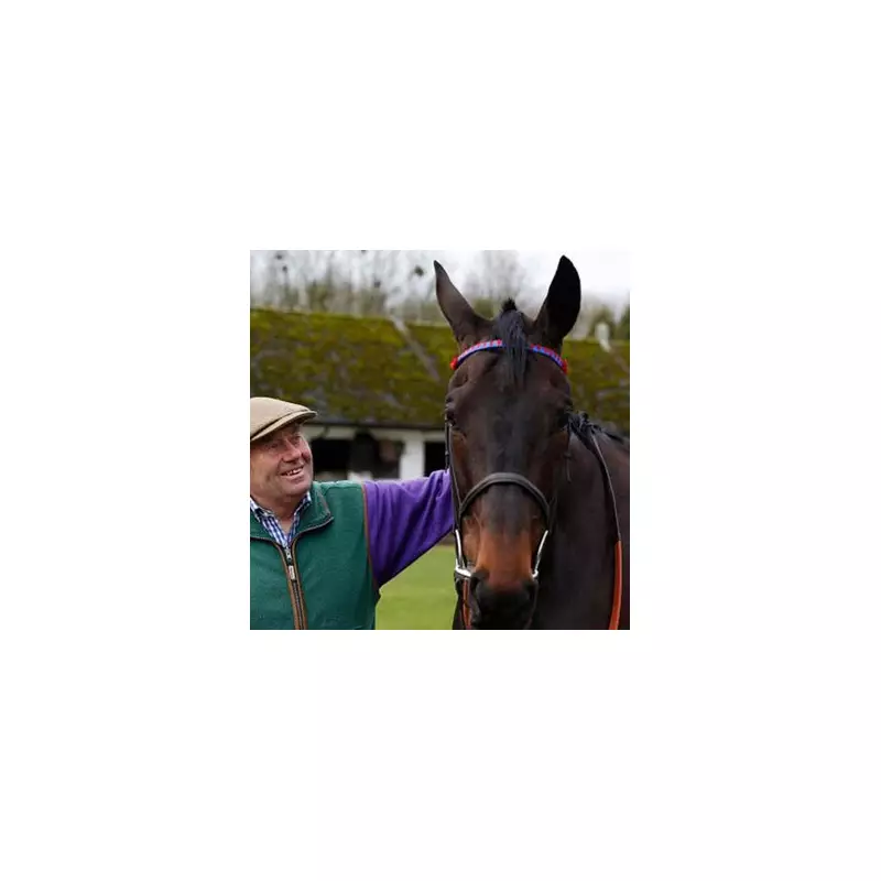 Nicky Henderson Funds Sprinter Sacre Surgery After GoFundMe Appeal Confusion