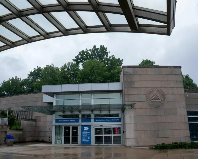 NIH Halts Federal Funding for Abortion-Derived Fetal Tissue Research