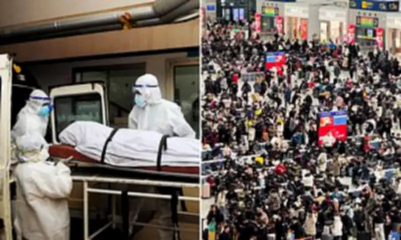 Nipah Virus Alert: Lunar New Year Travel Sparks Global Health Concerns