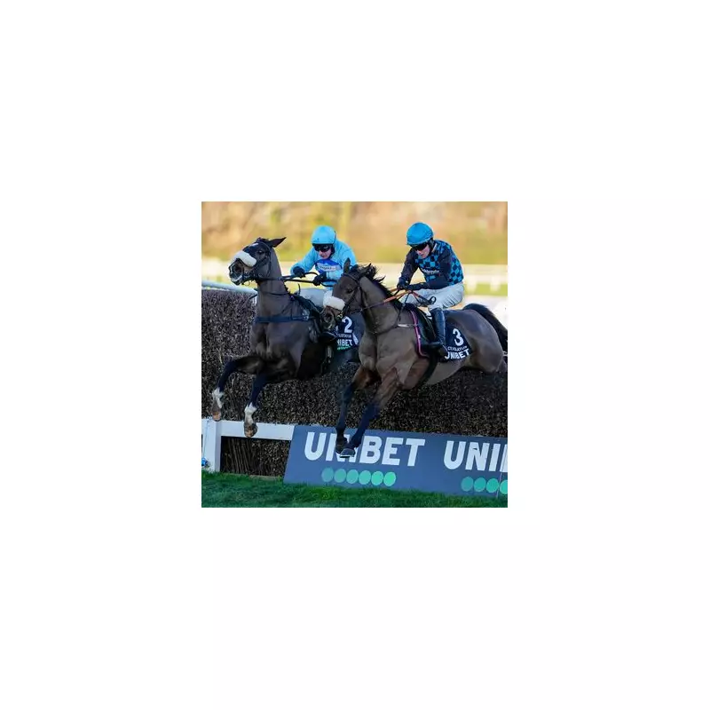 Nocte Volatus Lands Veteran Chase Gamble as Frost Wreaks Havoc on UK Racing