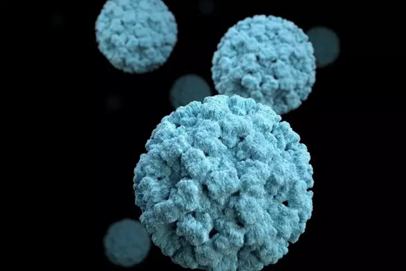 Norovirus Cases Hit Winter Peak in England: Symptoms and Prevention