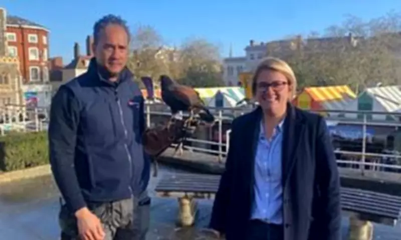 Norwich Considers Pigeon Contraceptives After Hawk Trial Fails