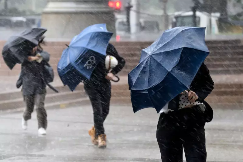 NSW Pounded by 35mm in 30 Minutes as Severe Storms Lash East Coast