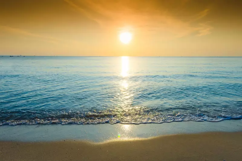 Oceans Absorb Record Heat in 2025, Accelerating Global Warming Crisis