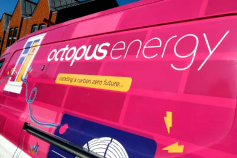 Octopus Energy Expands into China with Renewable Trading Joint Venture