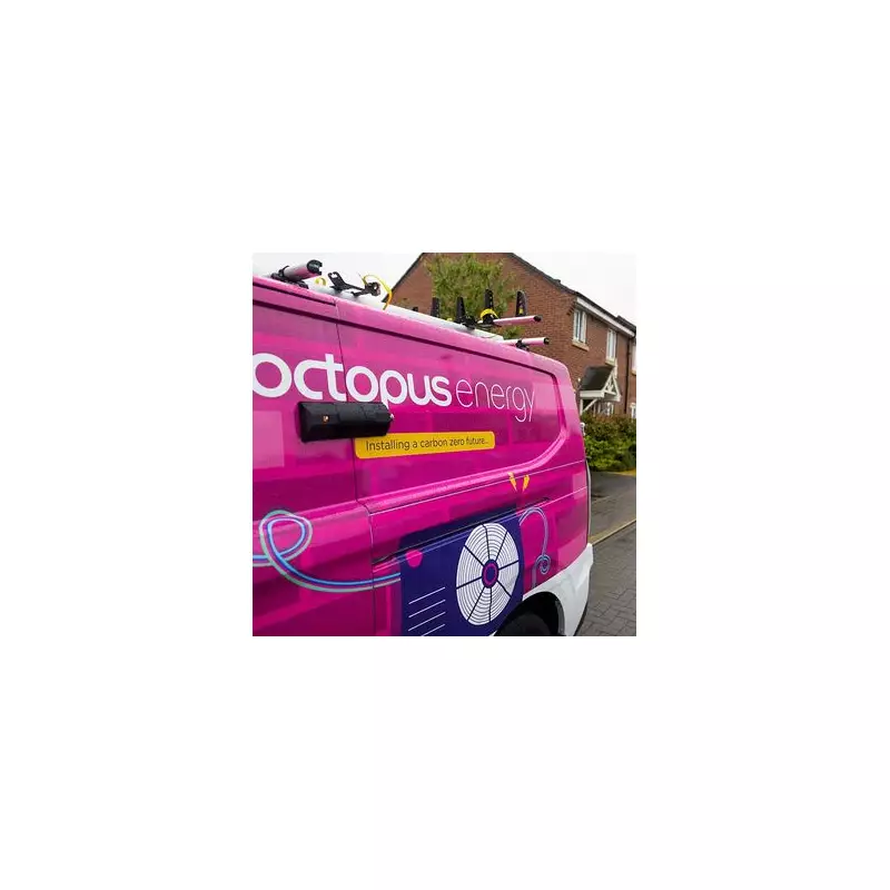 Octopus Energy's Midnight to 4pm 'Rule' Could Slash UK Household Bills