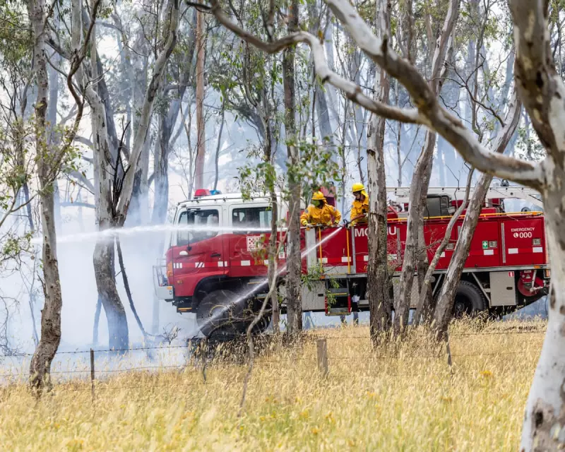 One Nation Seeks Electoral Gains Amid Victoria Bushfire Backlash