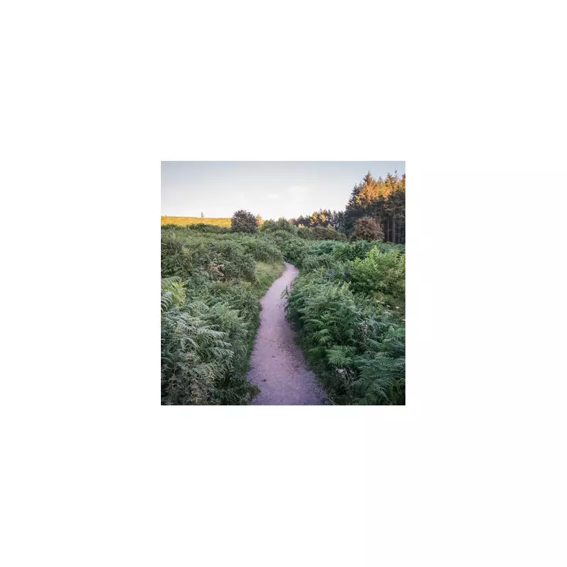 Osmotherley: North Yorkshire's Historic Village with 3 Pubs & 1397 Shrine