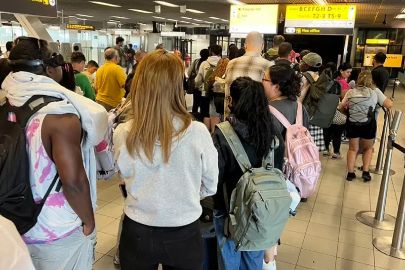 Over 60 UK-Amsterdam Flights Axed as Snow Paralyzes Schiphol