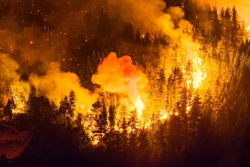 Patagonia Wildfires Force Evacuation of 3,000 Tourists